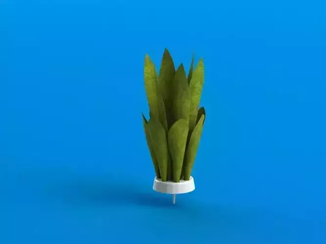 AquaColector plant in pot