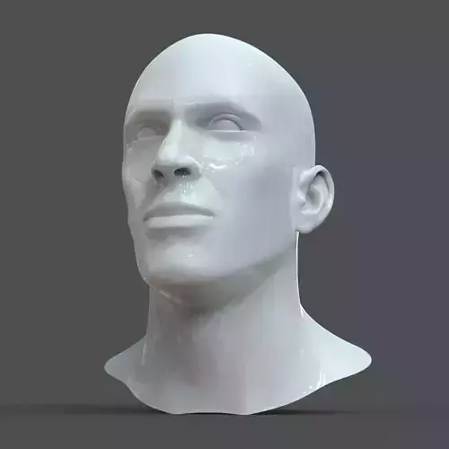 CAD-friendly Man Head Model M1P1D0V1head 3D model