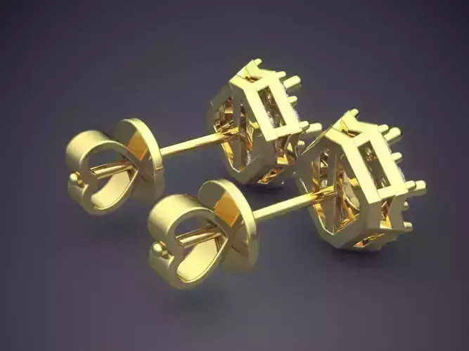 Beautiful Unique Style Earrings