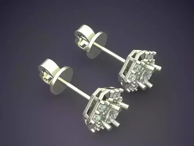 Beautiful Unique Style Earrings