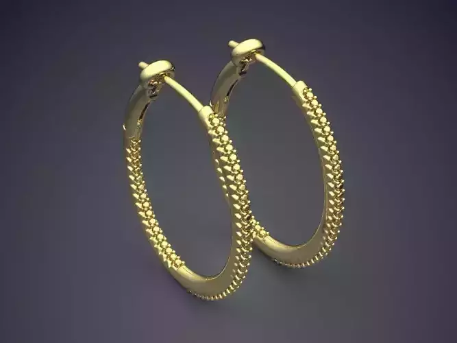 Unique Luxurious Textured Earrings