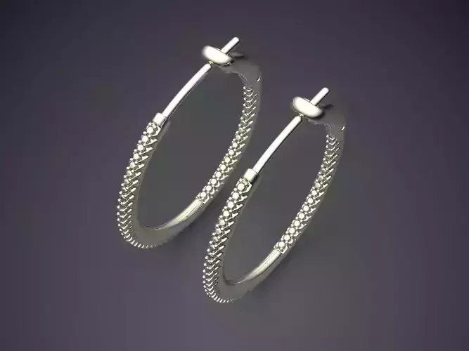 Unique Luxurious Textured Earrings