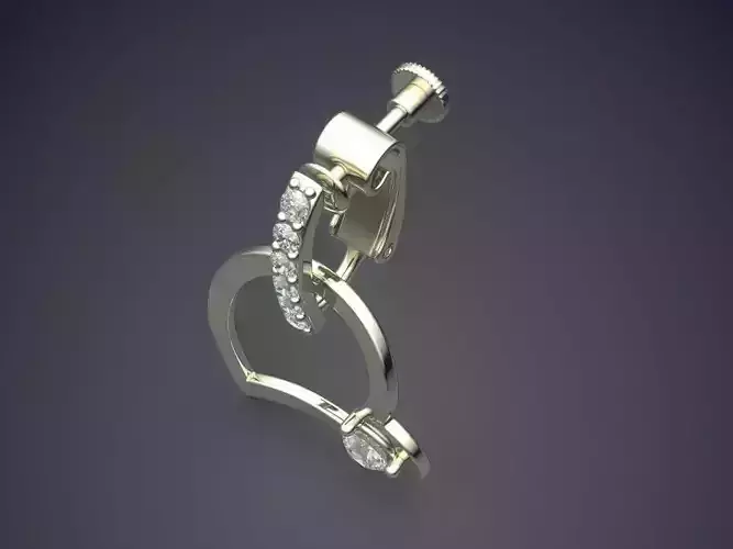 Unique Luxurious Heart Earrings