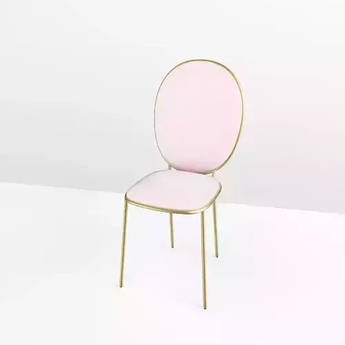 Luxurious Designer Chair