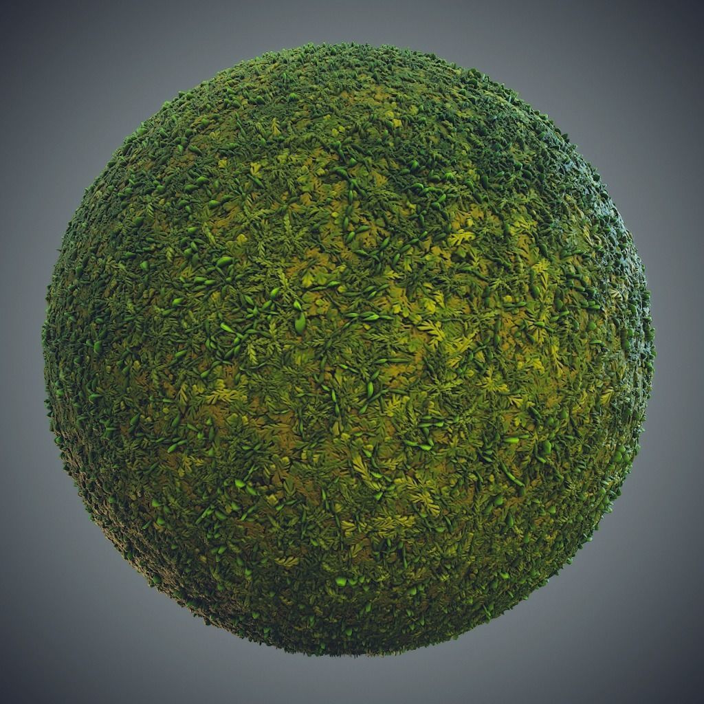 Forest - Stylized PBR materials  Texture_2