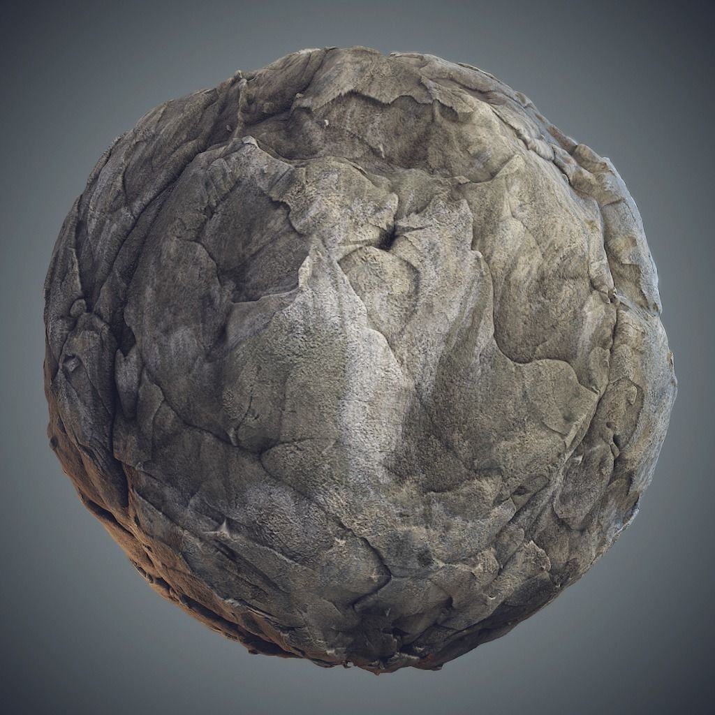 Forest - Stylized PBR materials  Texture_6