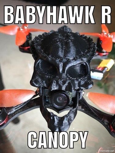 Babyhawk R Predator Alien Skull Drone Canopy 3D print model
