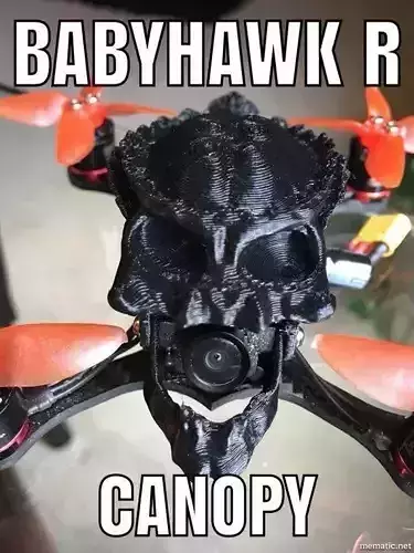 Babyhawk R Predator Alien Skull Drone Canopy 3D print model