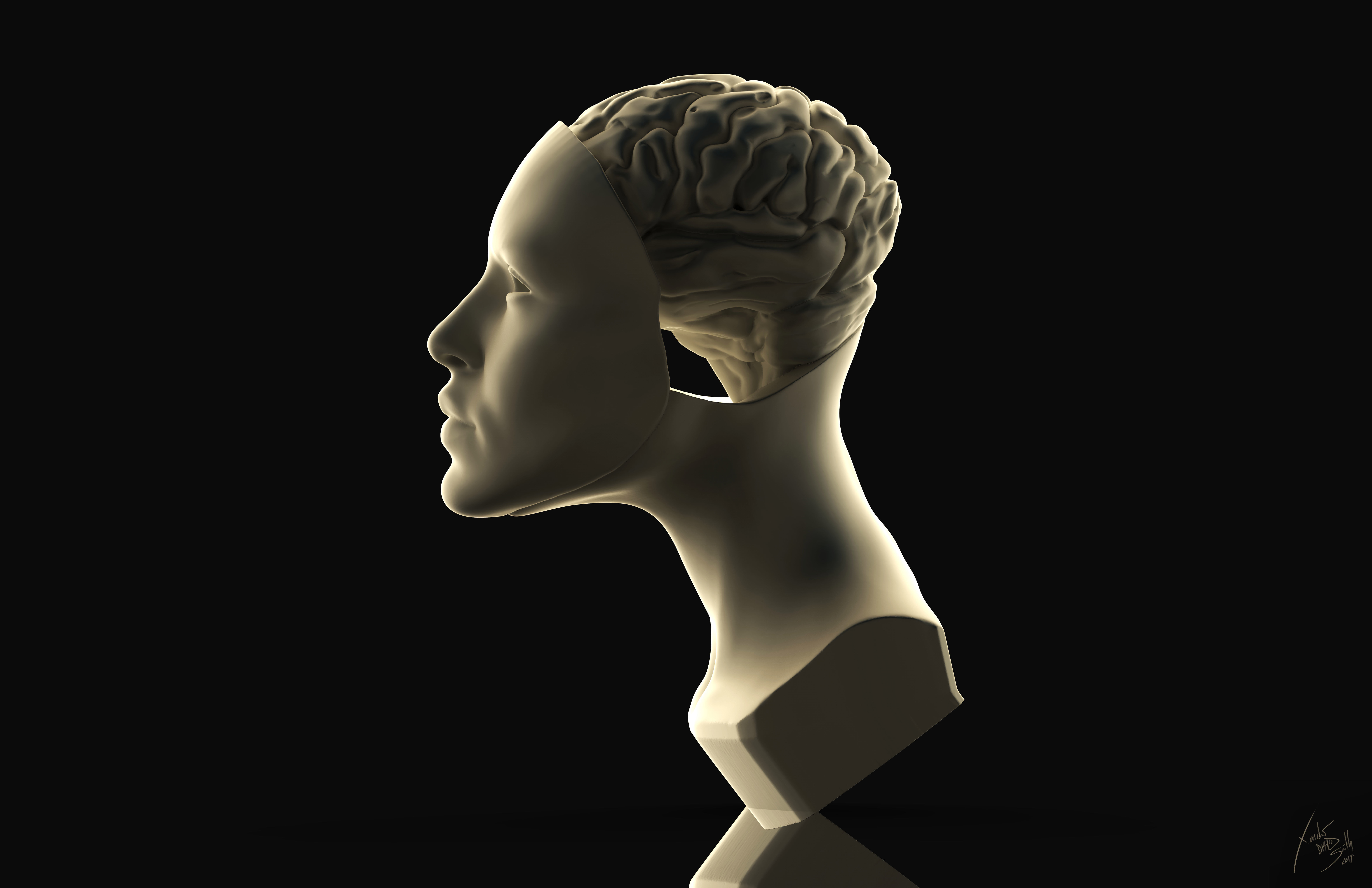 3D Printable Sculpture Pack 3D print model_5