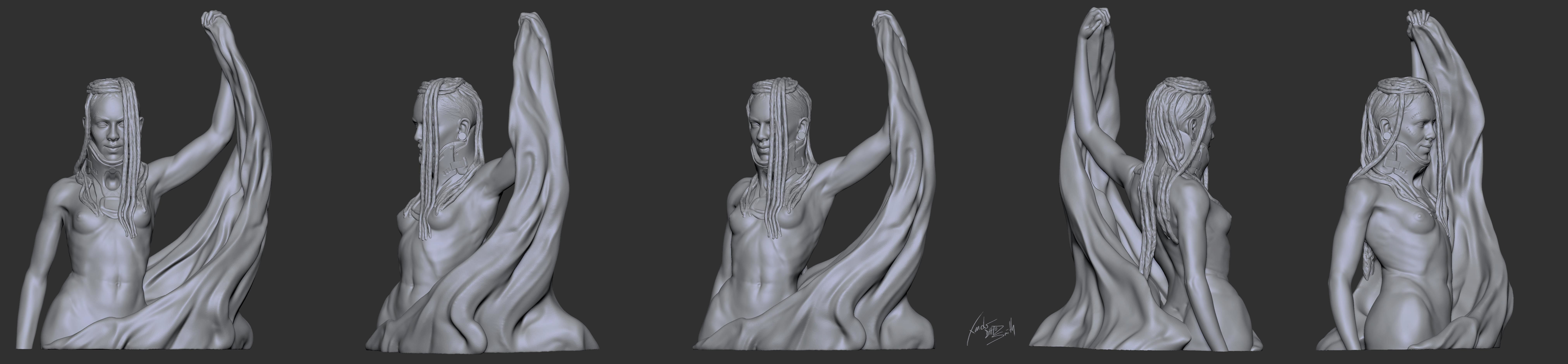 3D Printable Sculpture Pack 3D print model_16