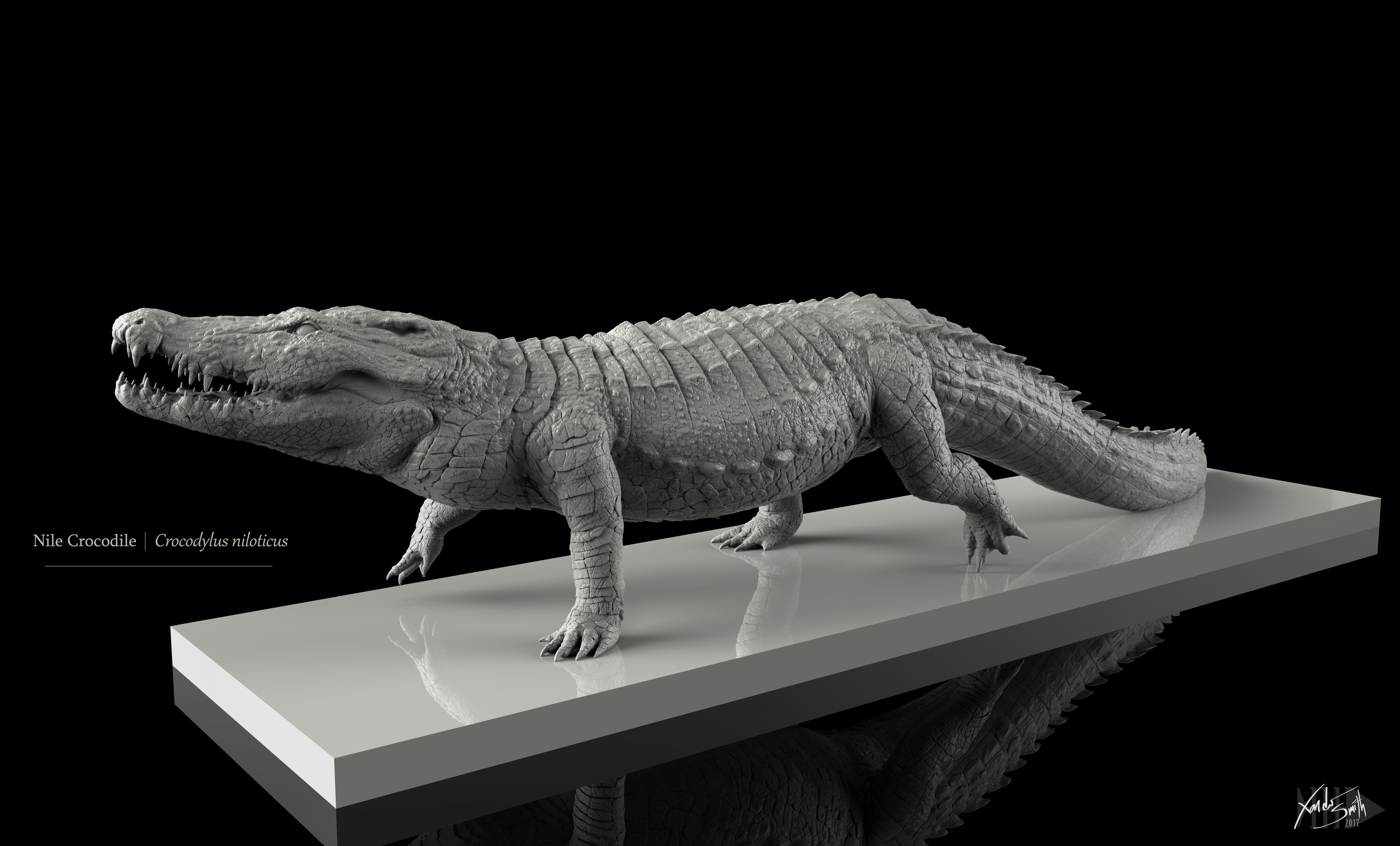 Nile Crocodile 3D Model LowPoly SubD HighPoly Decimated Low-poly 3D model_5