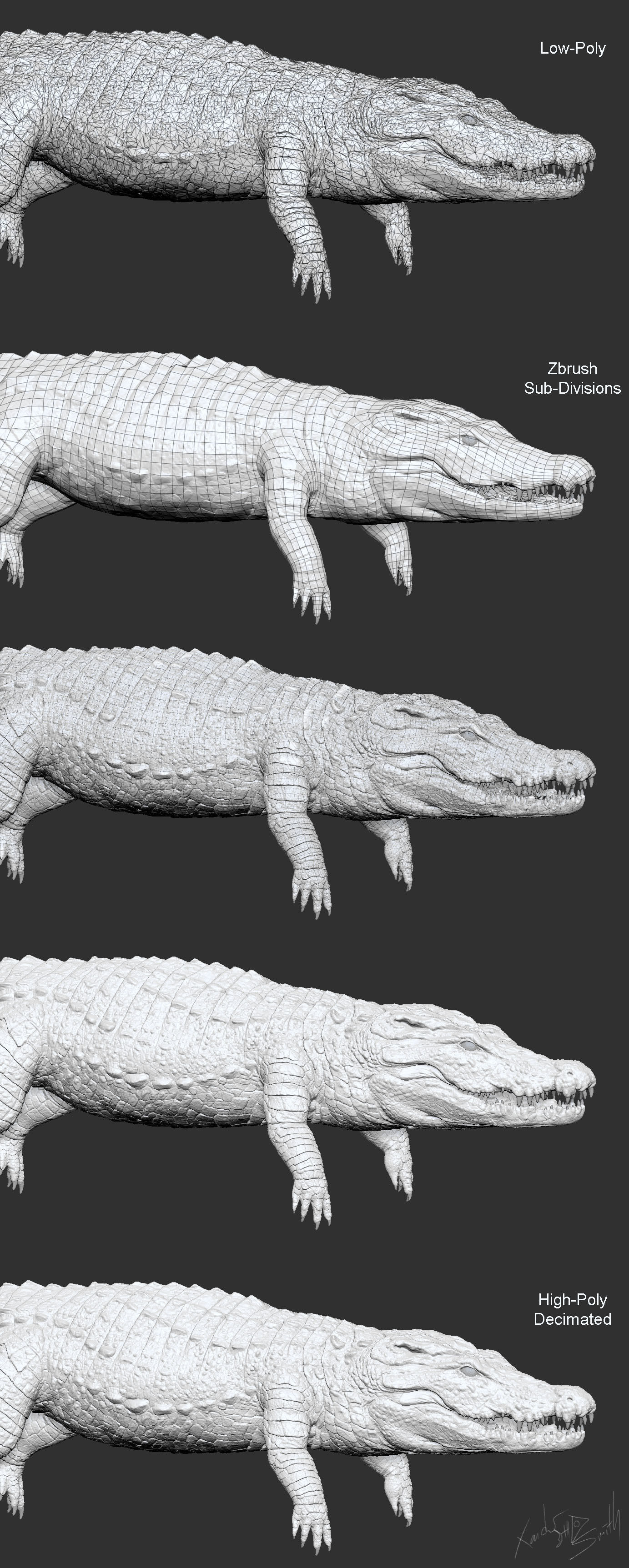 Nile Crocodile 3D Model LowPoly SubD HighPoly Decimated Low-poly 3D model_2