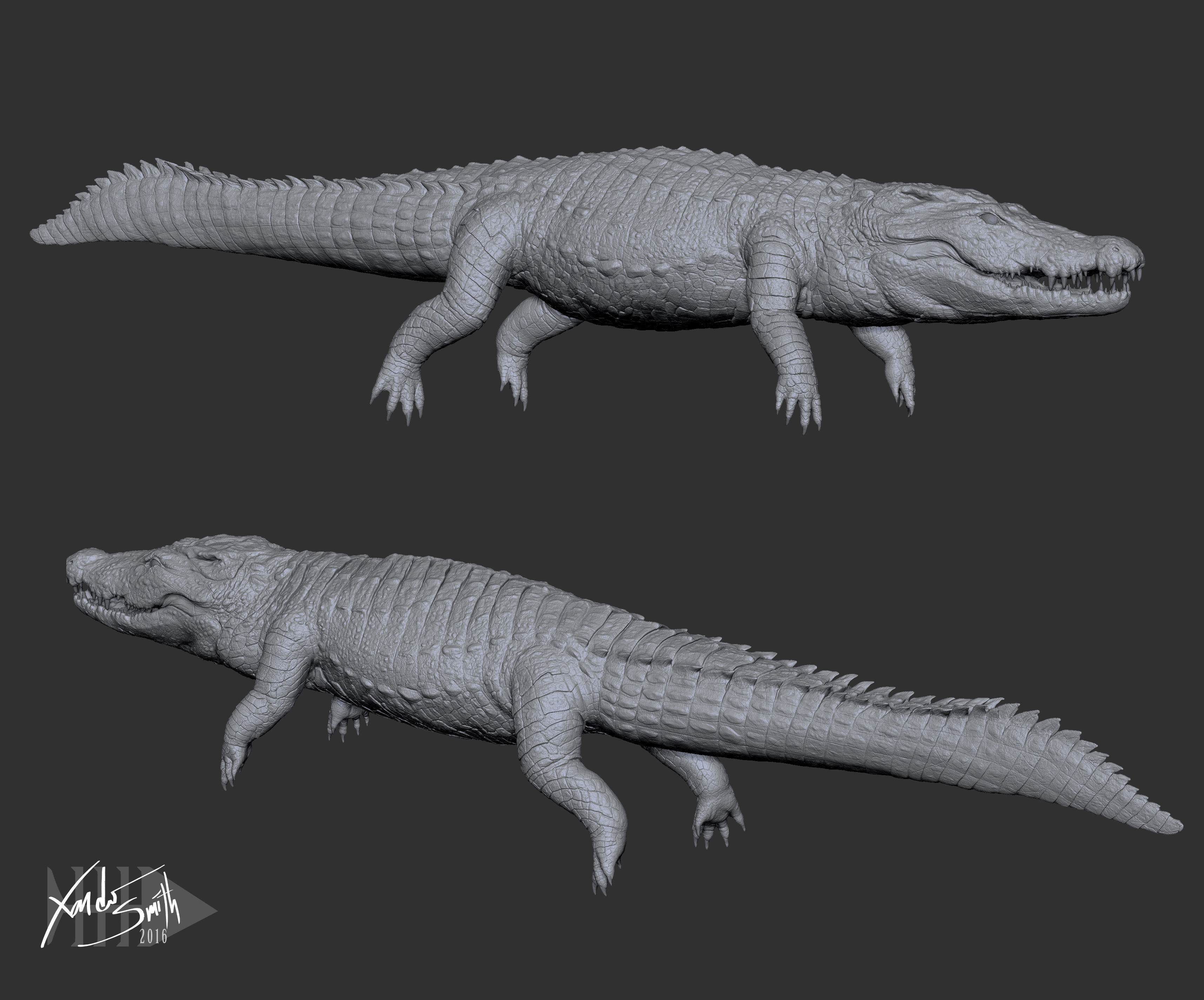 Nile Crocodile 3D Model LowPoly SubD HighPoly Decimated Low-poly 3D model_1