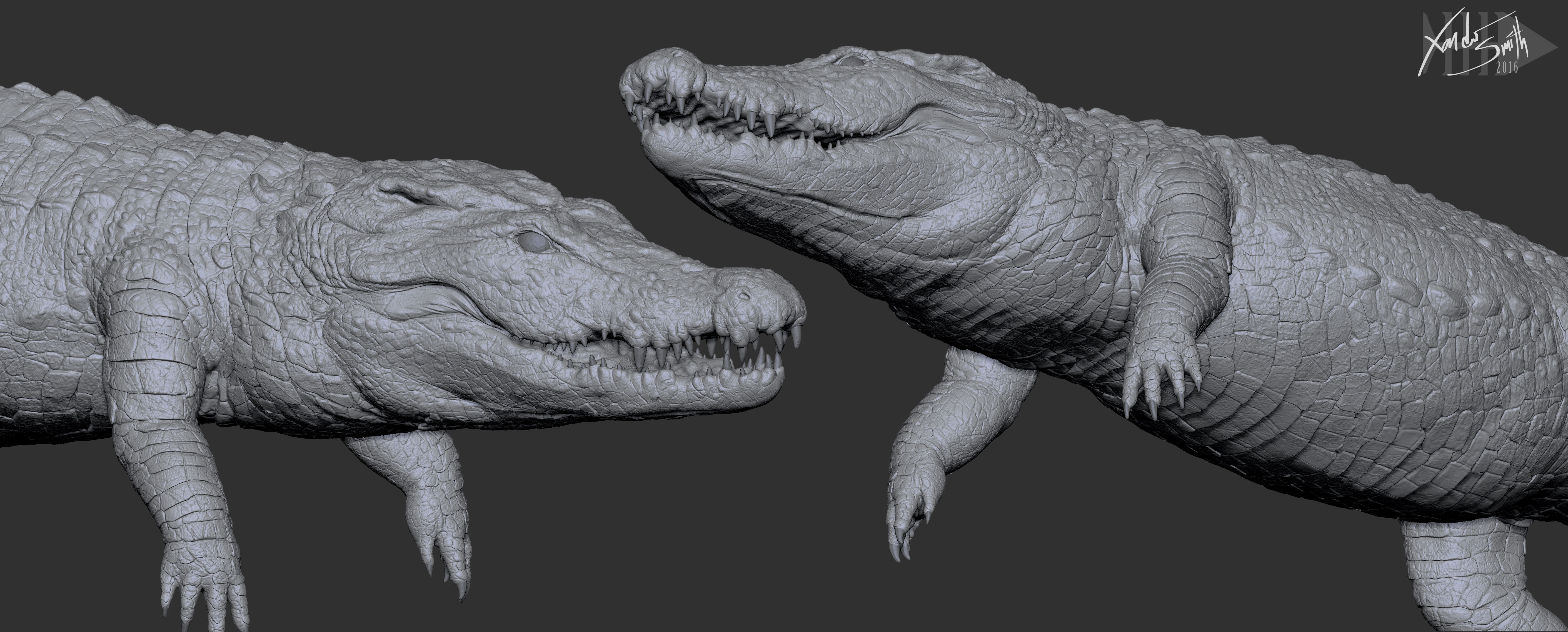 Nile Crocodile 3D Model LowPoly SubD HighPoly Decimated Low-poly 3D model_4