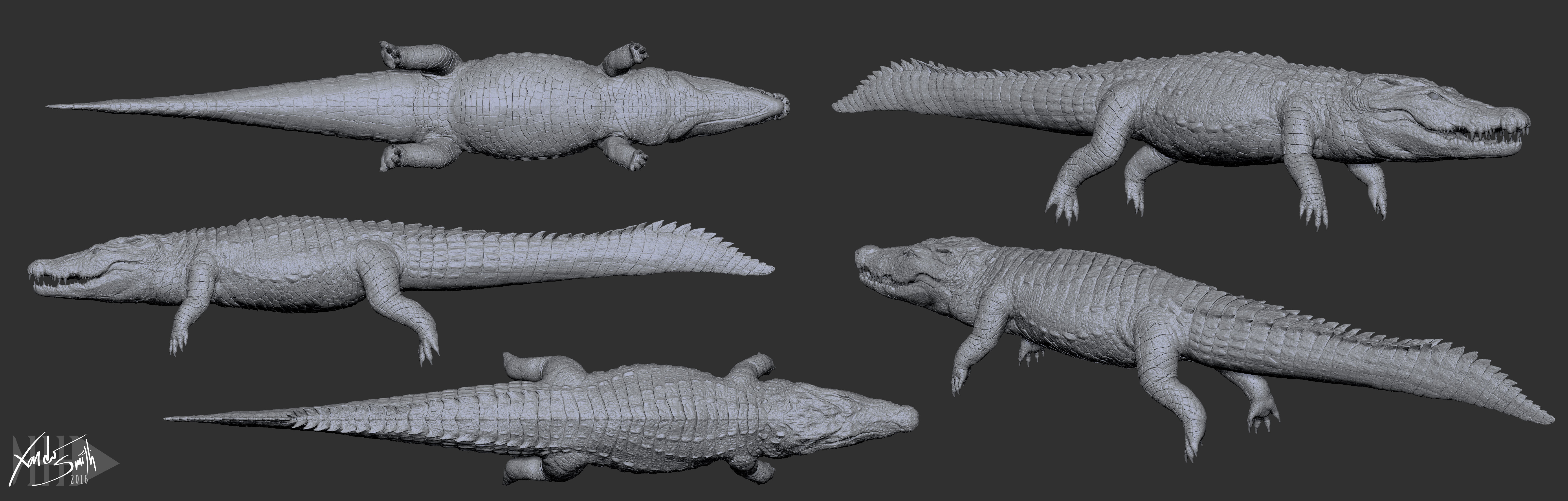 Nile Crocodile 3D Model LowPoly SubD HighPoly Decimated Low-poly 3D model_3