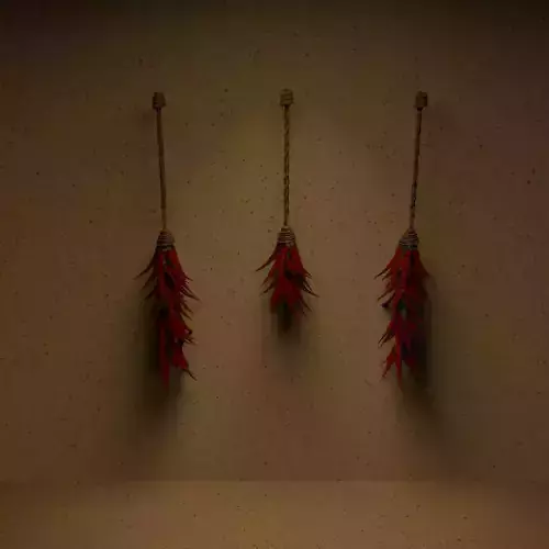 air dried chillies in different length spooky witch style