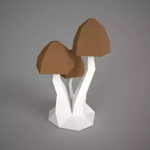 Mushroom three mushrooms