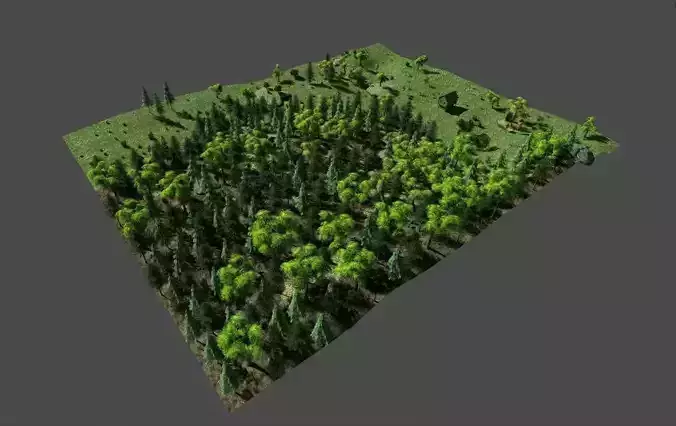 low poly forest landscape Low-poly 3D model