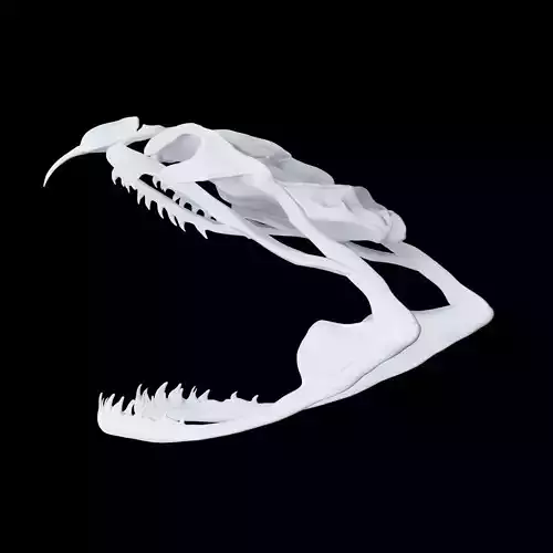 Skull Snake - Proteroglyphous 3D print model