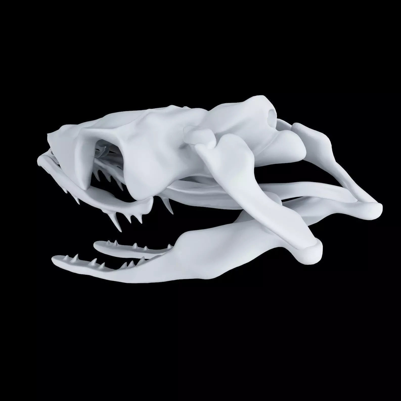 Skull Snake - Opsthoglyphous 3D print model_0