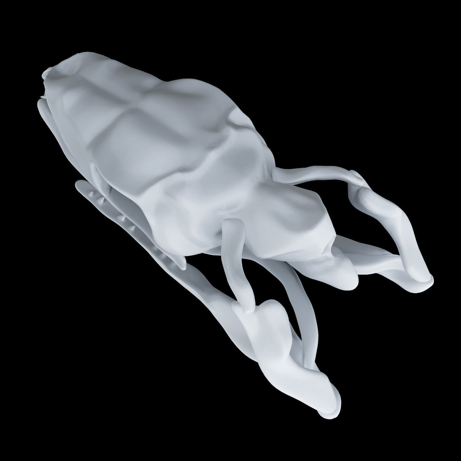 Skull Snake - Opsthoglyphous 3D print model_2