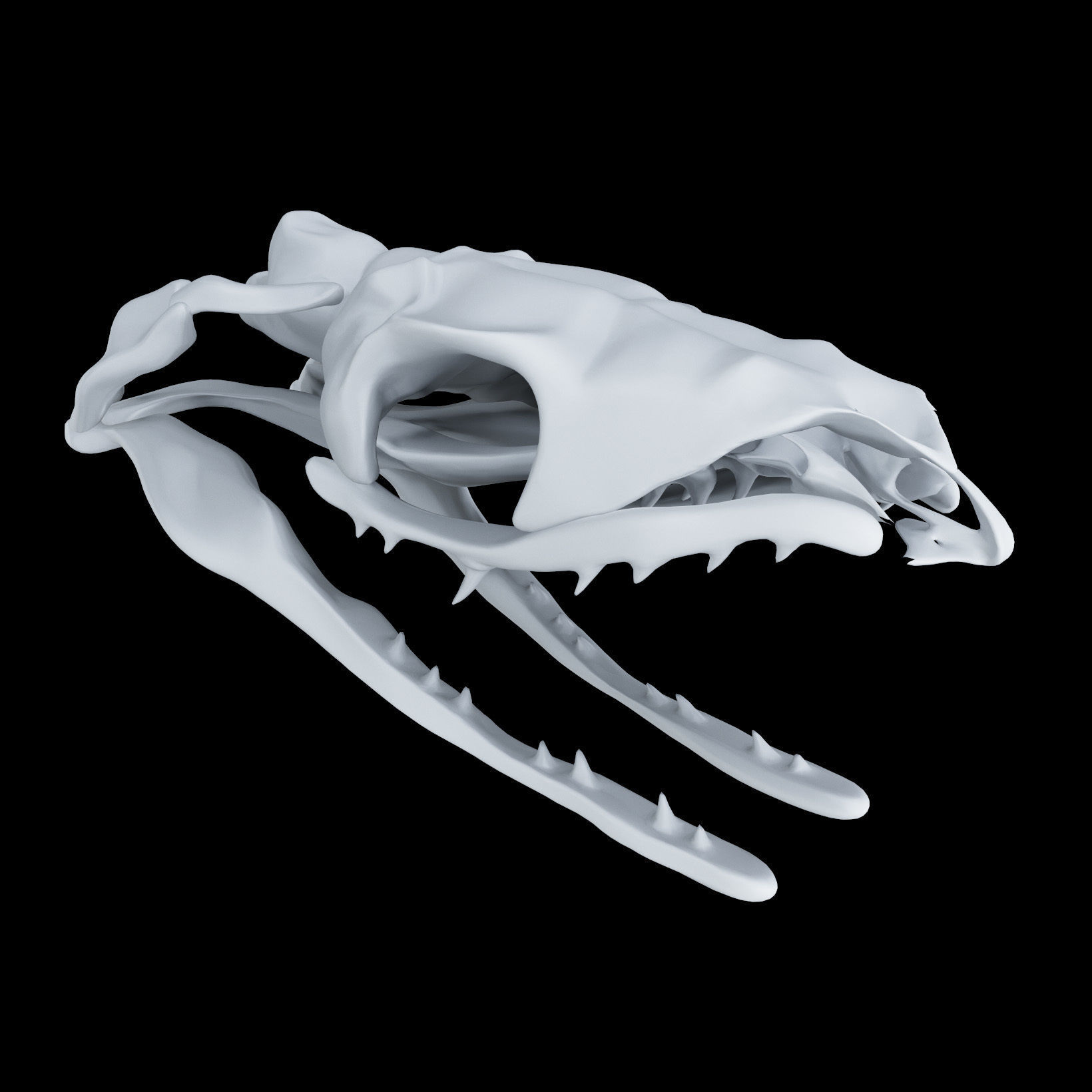 Skull Snake - Opsthoglyphous 3D print model_1