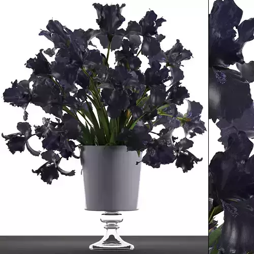 Bouquet of black flowers