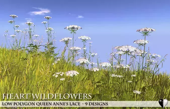 Low Polygon 3D Queen Anne Lace Flowers for Games  Low-poly 3D model