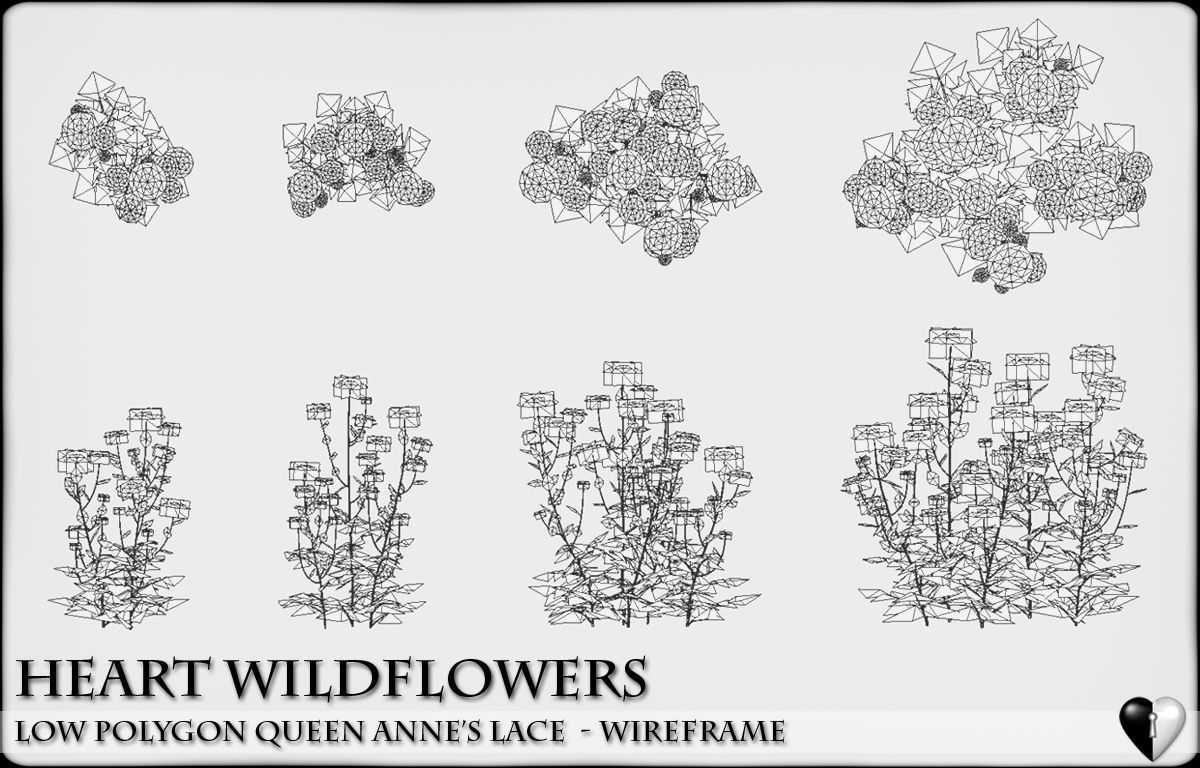 Low Polygon 3D Queen Anne Lace Flowers for Games Low-poly 3D model_4