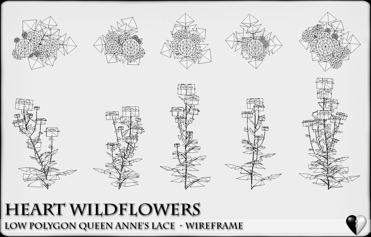 Low Polygon 3D Queen Anne Lace Flowers for Games Low-poly 3D model_3