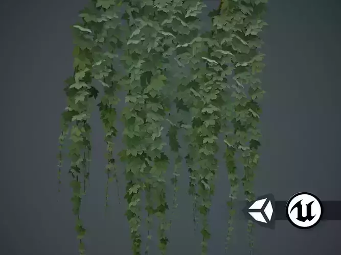 Natural Assets - Wall Ivy - PBR and Game-Ready Low-poly 3D model