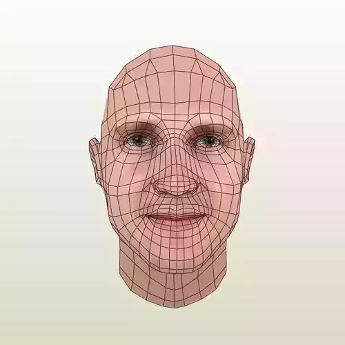 man head v-1