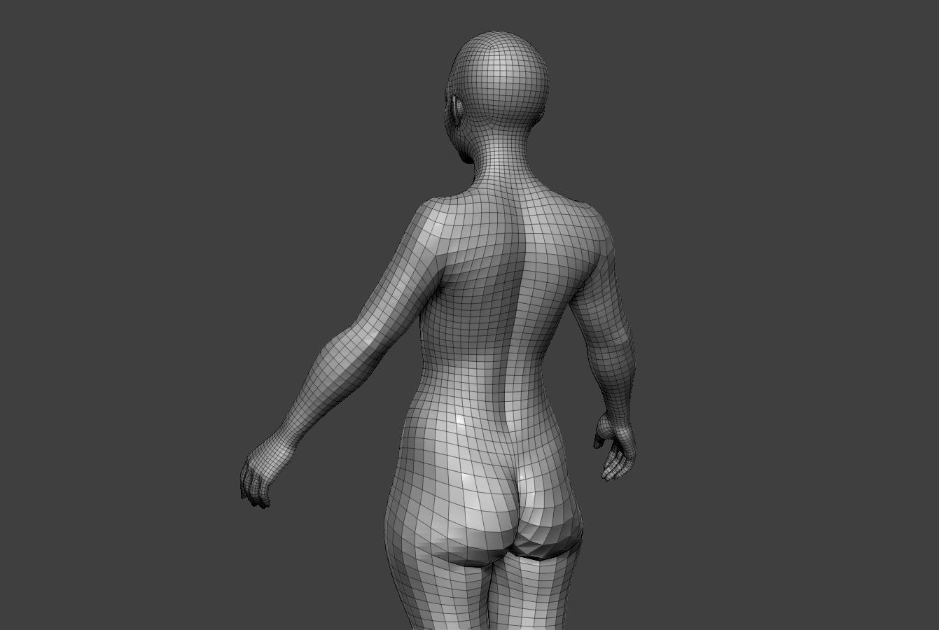 Female Body Basemesh 8 Low-poly 3D model_11
