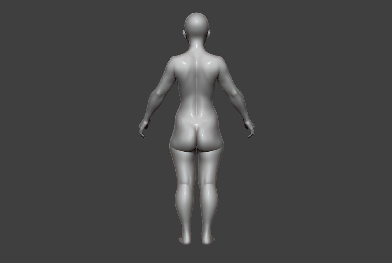 Female Body Basemesh 8 Low-poly 3D model_7