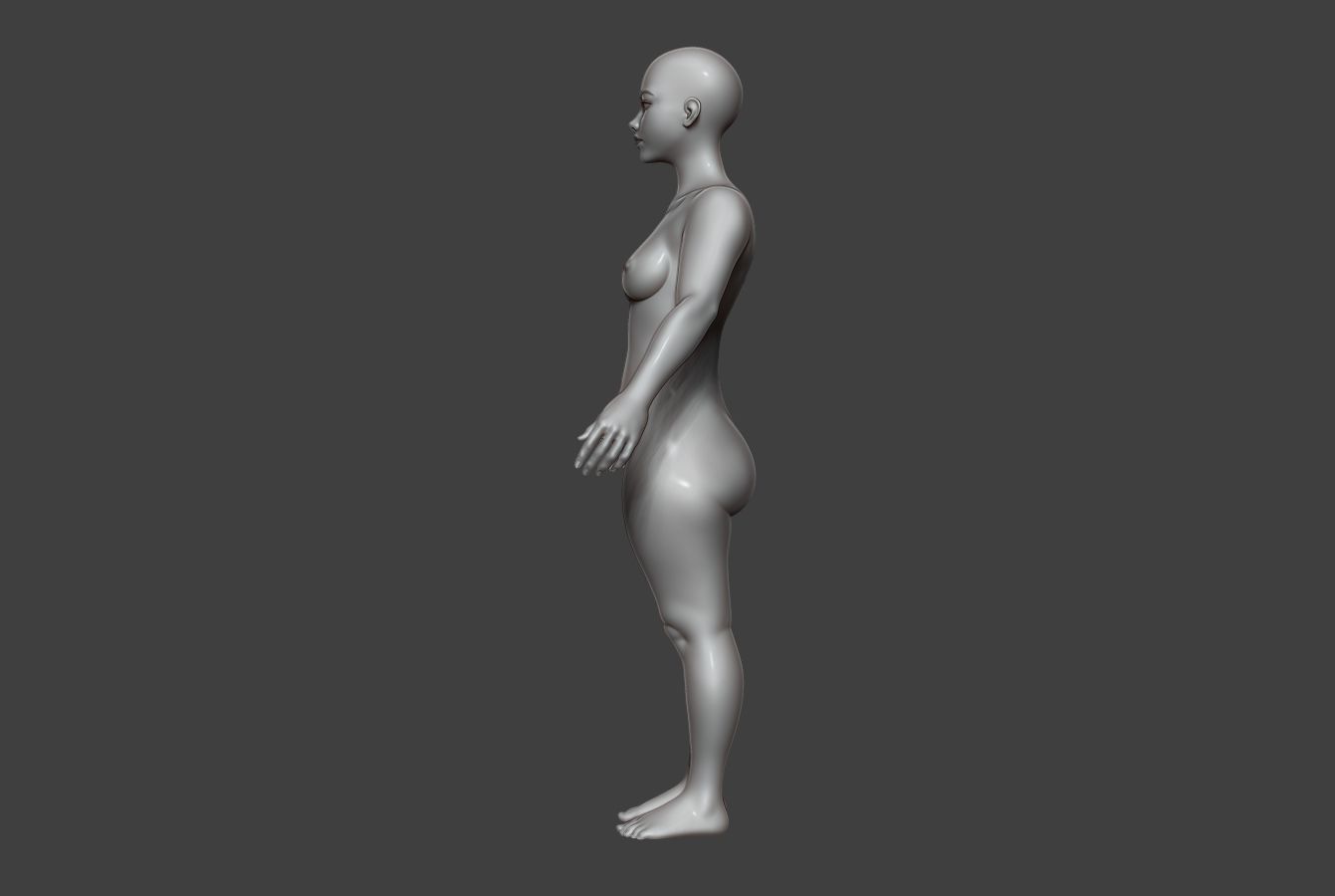 Female Body Basemesh 8 Low-poly 3D model_6