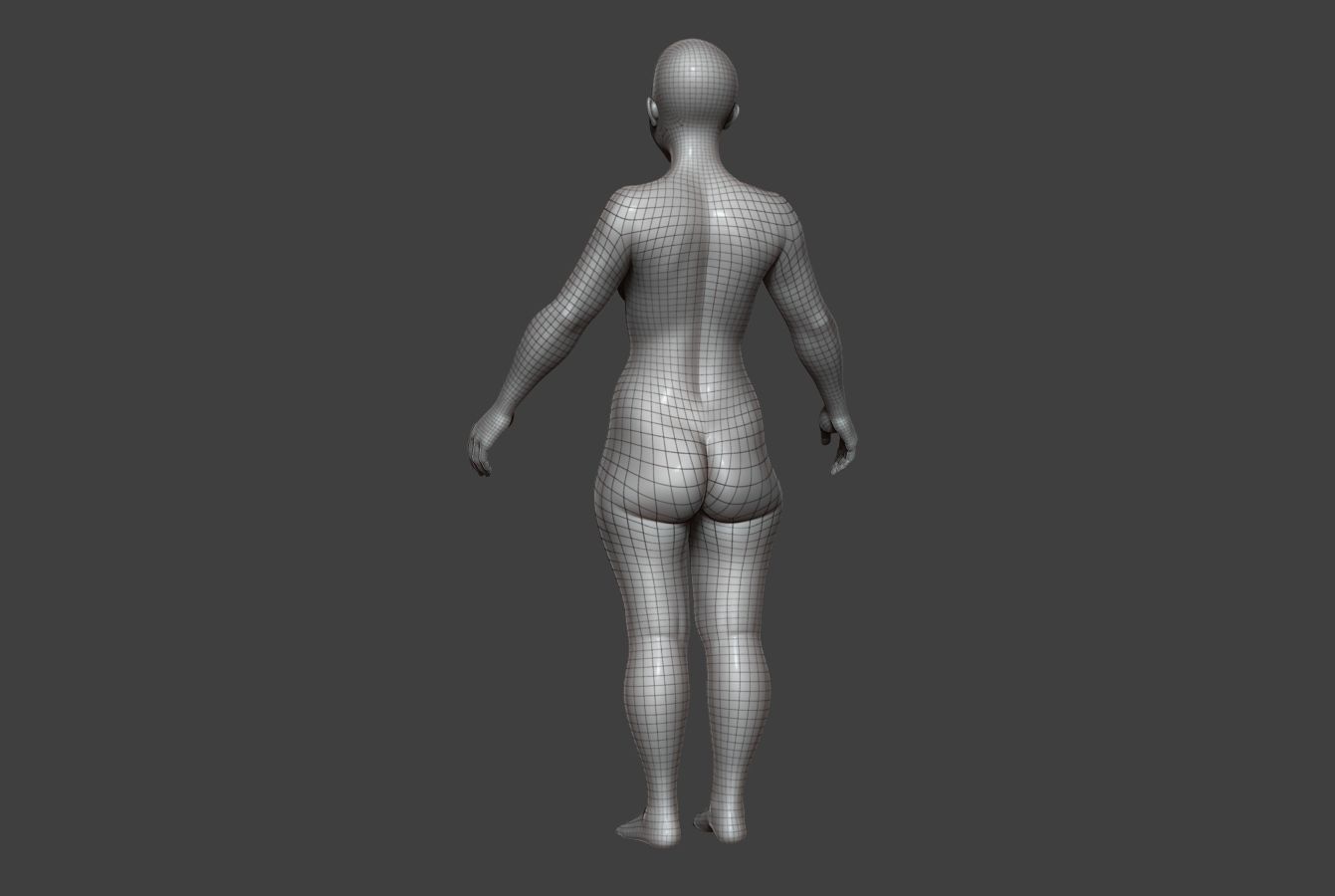 Female Body Basemesh 8 Low-poly 3D model_14
