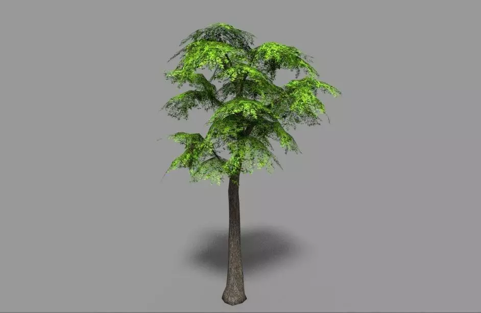 low poly leaf tree Low-poly 3D model_0