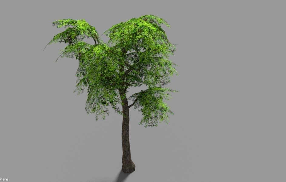 low poly leaf tree Low-poly 3D model_2