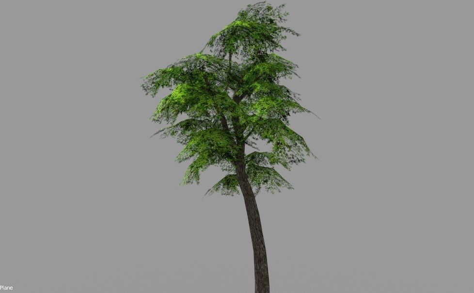 low poly leaf tree Low-poly 3D model_3