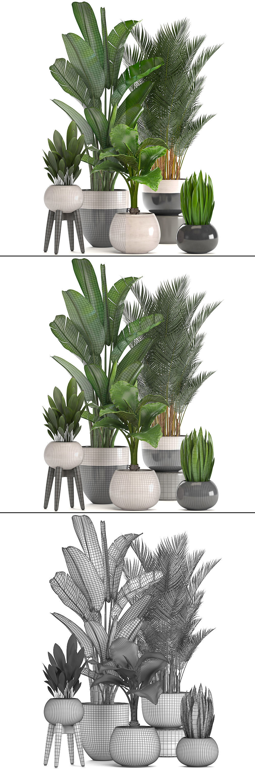 Collection of ornamental plants in pots 3D model_10