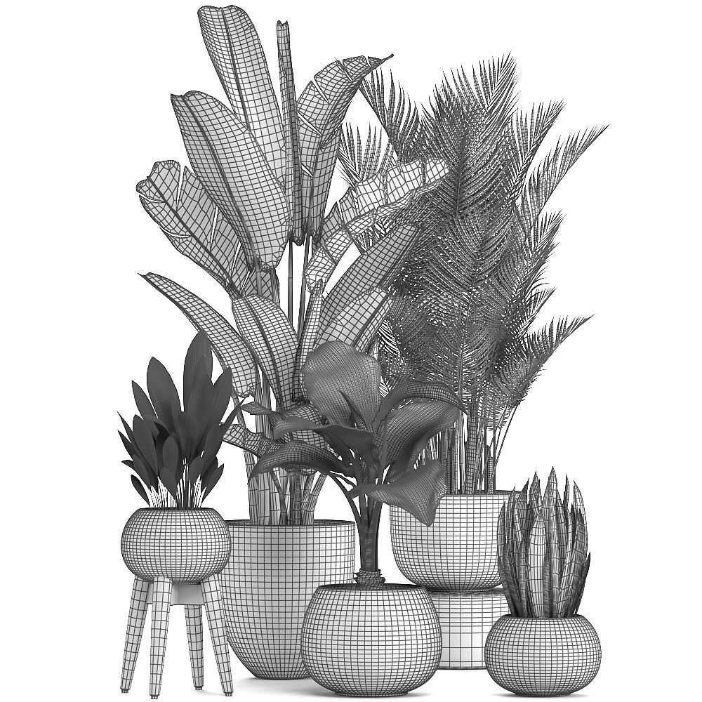 Collection of ornamental plants in pots 3D model_8