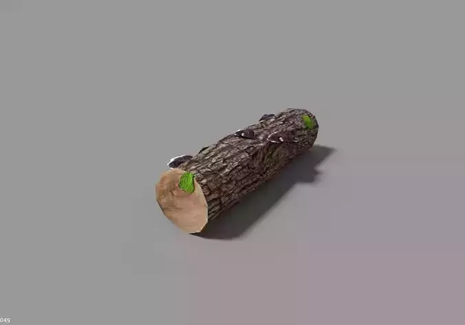 low poly forest log