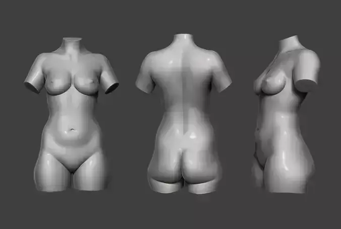 Female Torso 12 Low-poly 3D model Female Torso 12 Low-poly 3D model