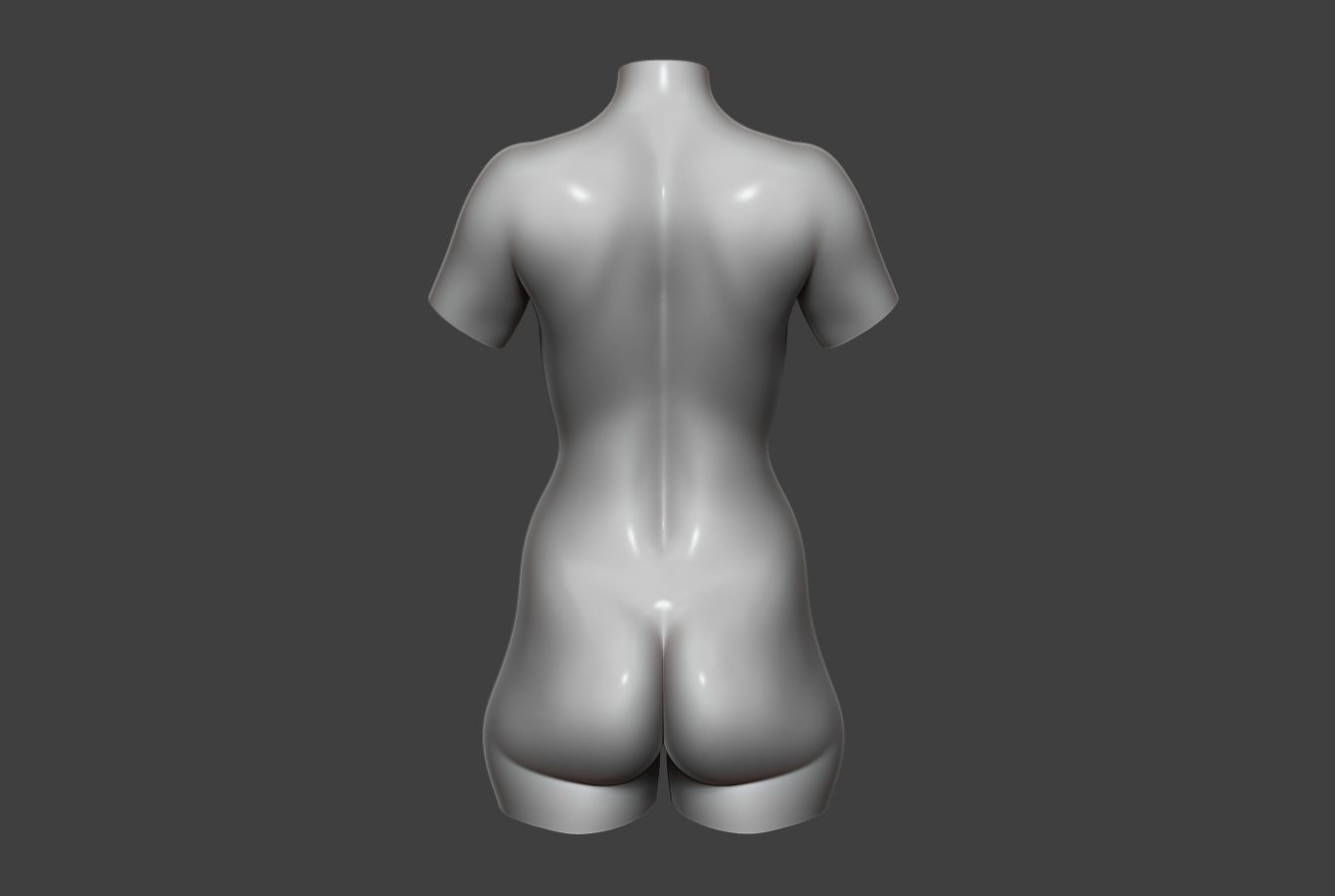 Female Torso 12 Low-poly 3D model_3