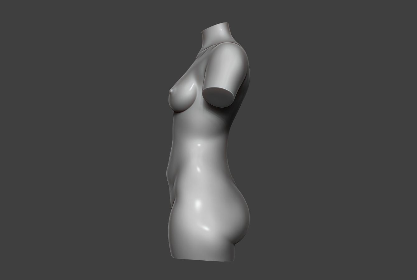 Female Torso 12 Low-poly 3D model_4