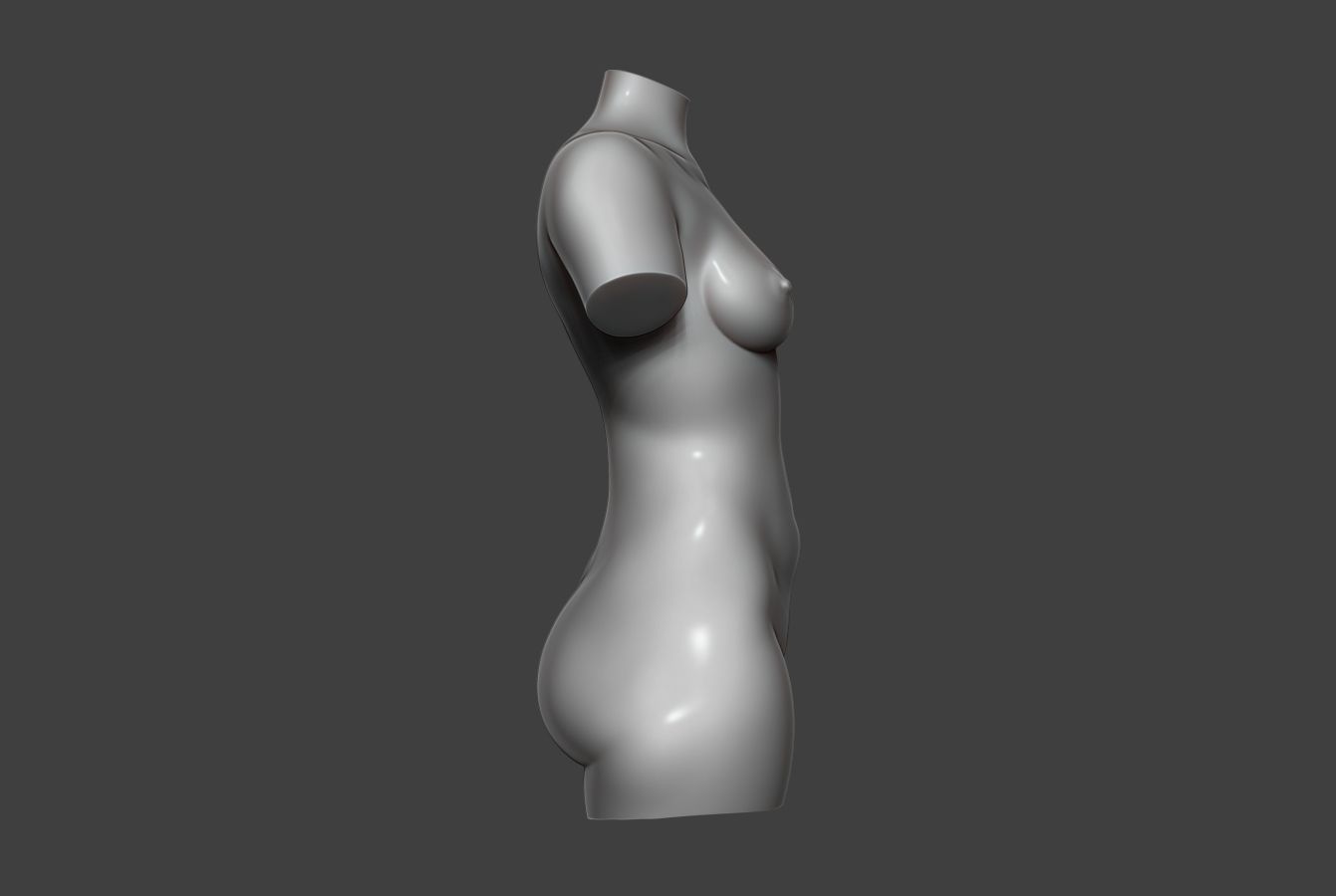Female Torso 12 Low-poly 3D model_2