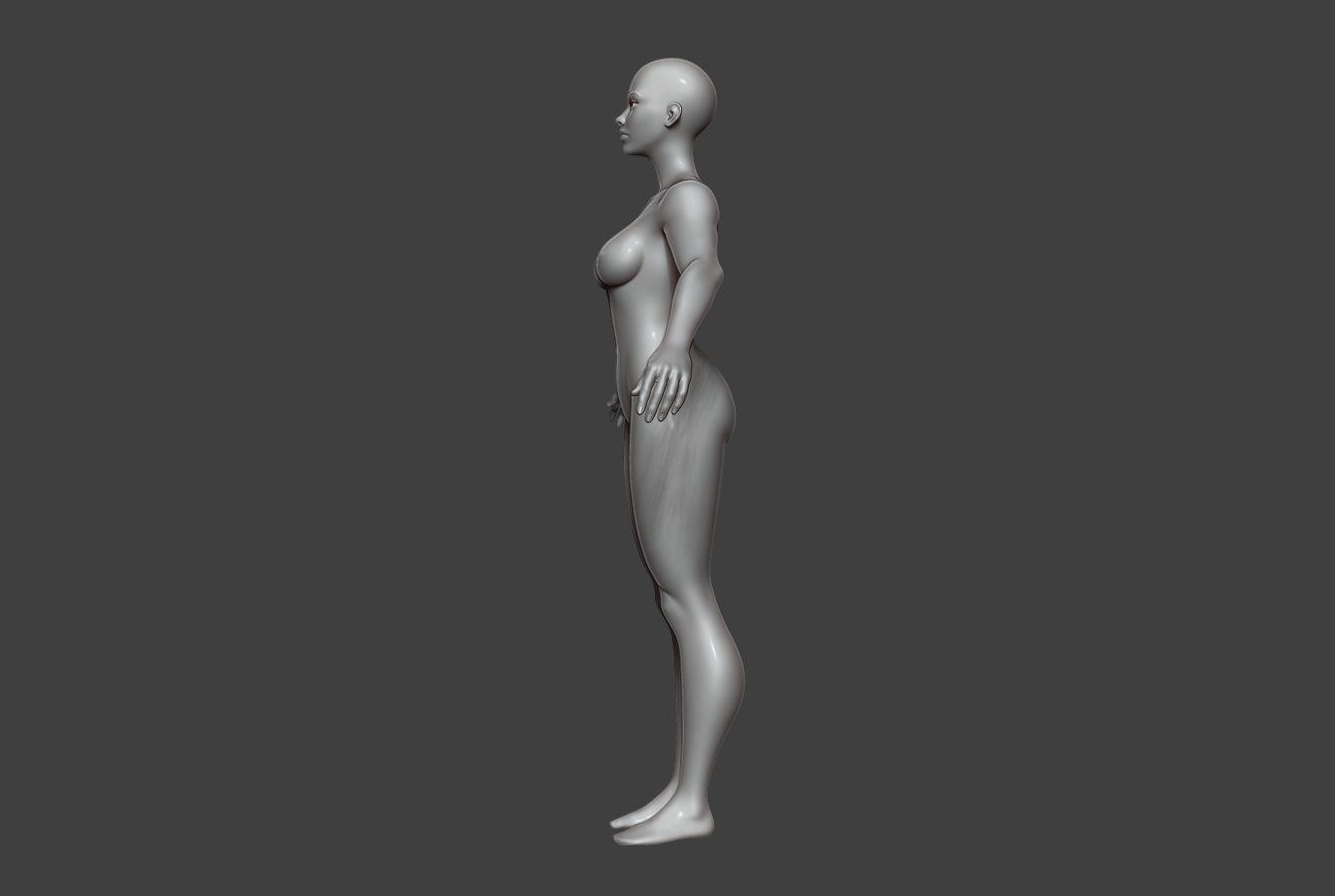 Female Body Basemesh 9 Low-poly 3D model_12