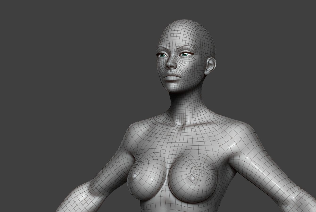 Female Body Basemesh 9 Low-poly 3D model_13
