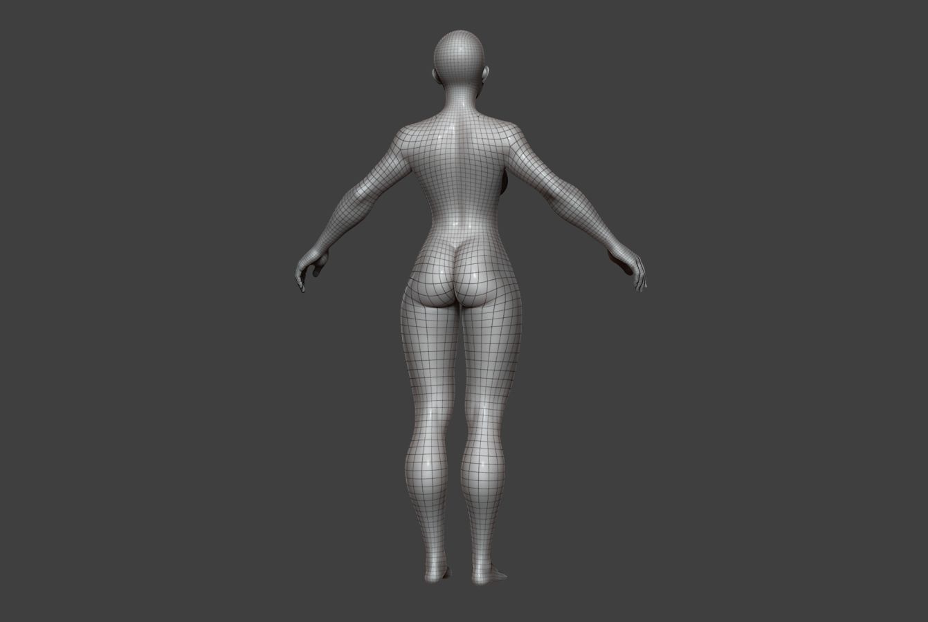 Female Body Basemesh 9 Low-poly 3D model_15