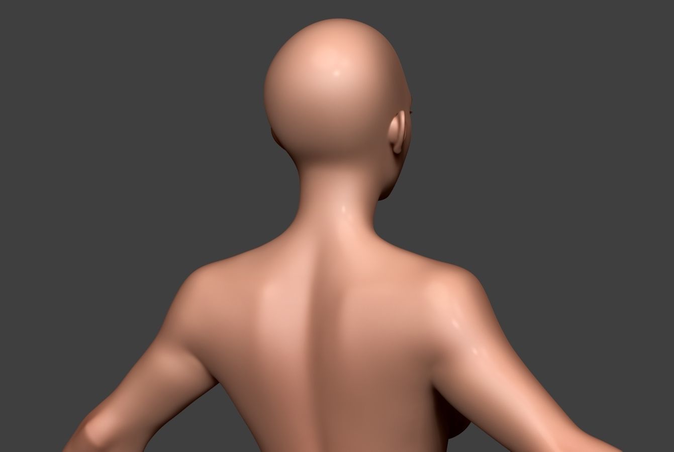 Female Body Basemesh 9 Low-poly 3D model_5